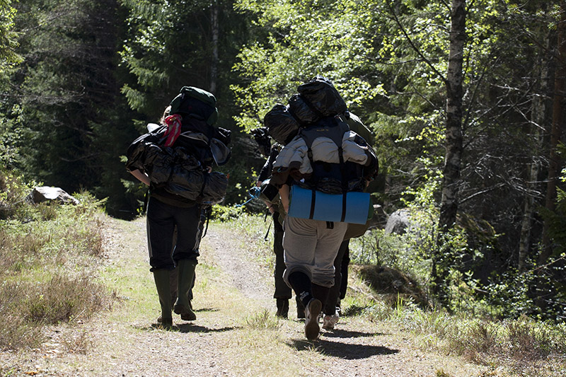 Personer med ryggsäck vandrar i  skogen